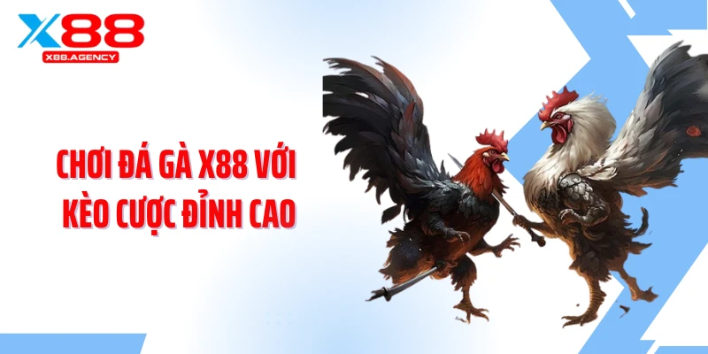 Chơi đá gà X88 với kèo cược đỉnh cao
