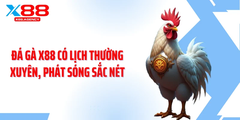 Đá gà X88 có lịch thường xuyên, phát sóng sắc nét