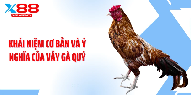 Khái niệm cơ bản và ý nghĩa của vảy gà quý