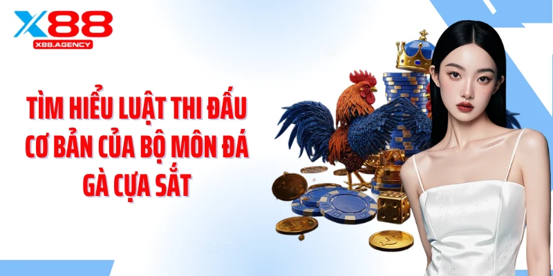 Tìm hiểu luật thi đấu cơ bản của bộ môn đá gà cựa sắt