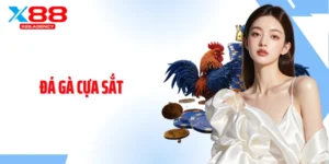 Đá Gà Cựa Sắt